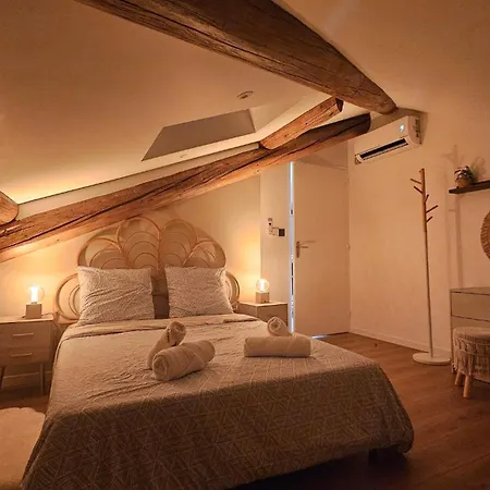 Appartement Le Majestic Avec Sa Terrasse Privée, Hyper Centre Saint-Etienne (Loire)